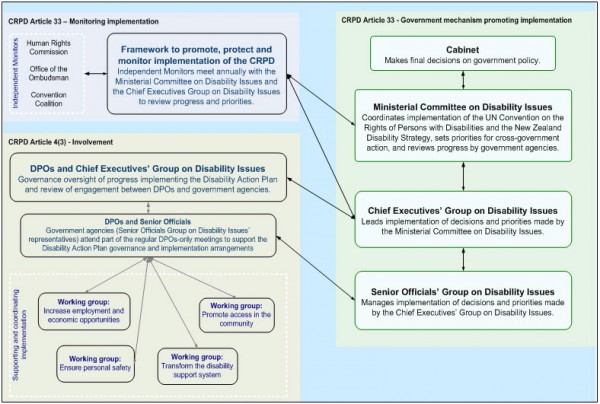 Governance arrangement for disability issues